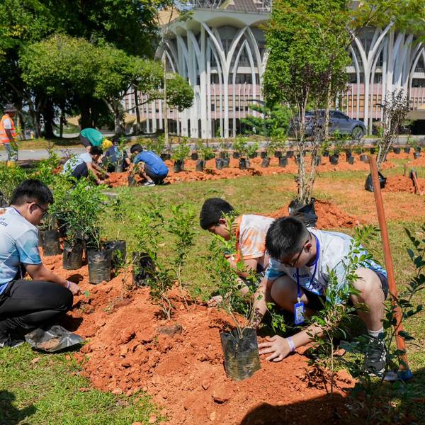 Pesta 2024 Tree Planting